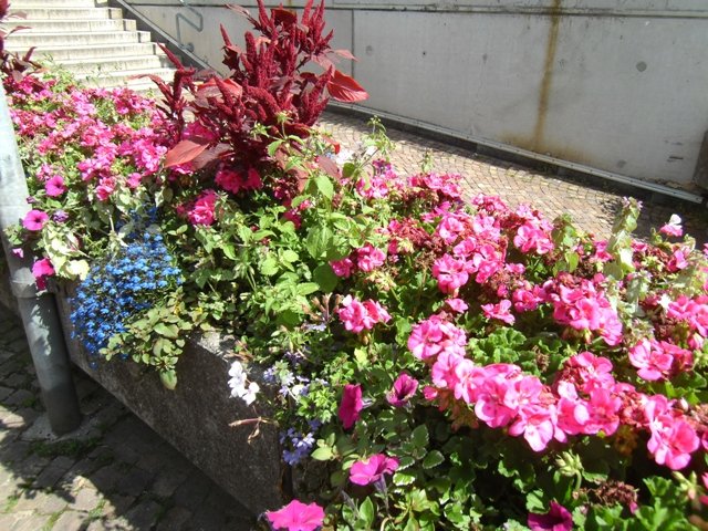 Traveler Digital Camera